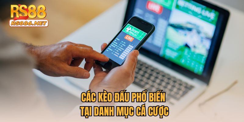 Các kèo đấu phổ biến tại danh mục cá cược