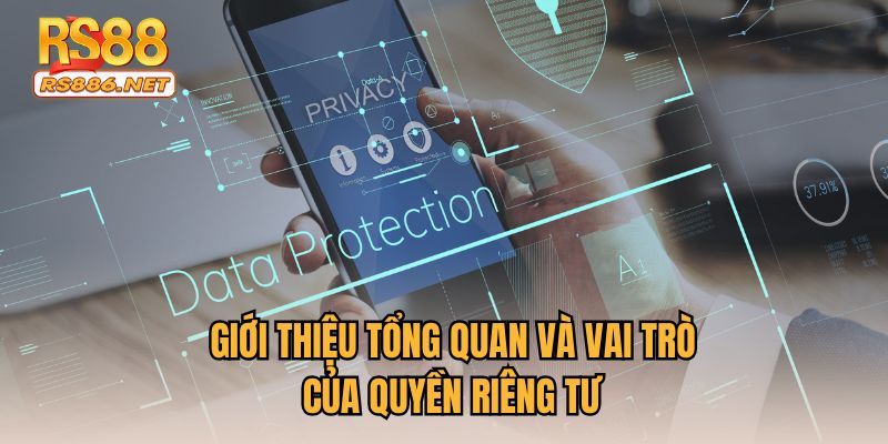 Giới thiệu tổng quan và vai trò của quyền riêng tư