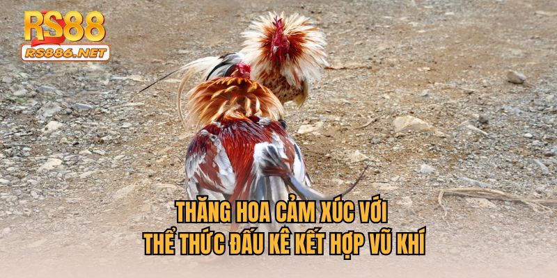 Thăng hoa cảm xúc với thể thức đấu kê kết hợp vũ khí